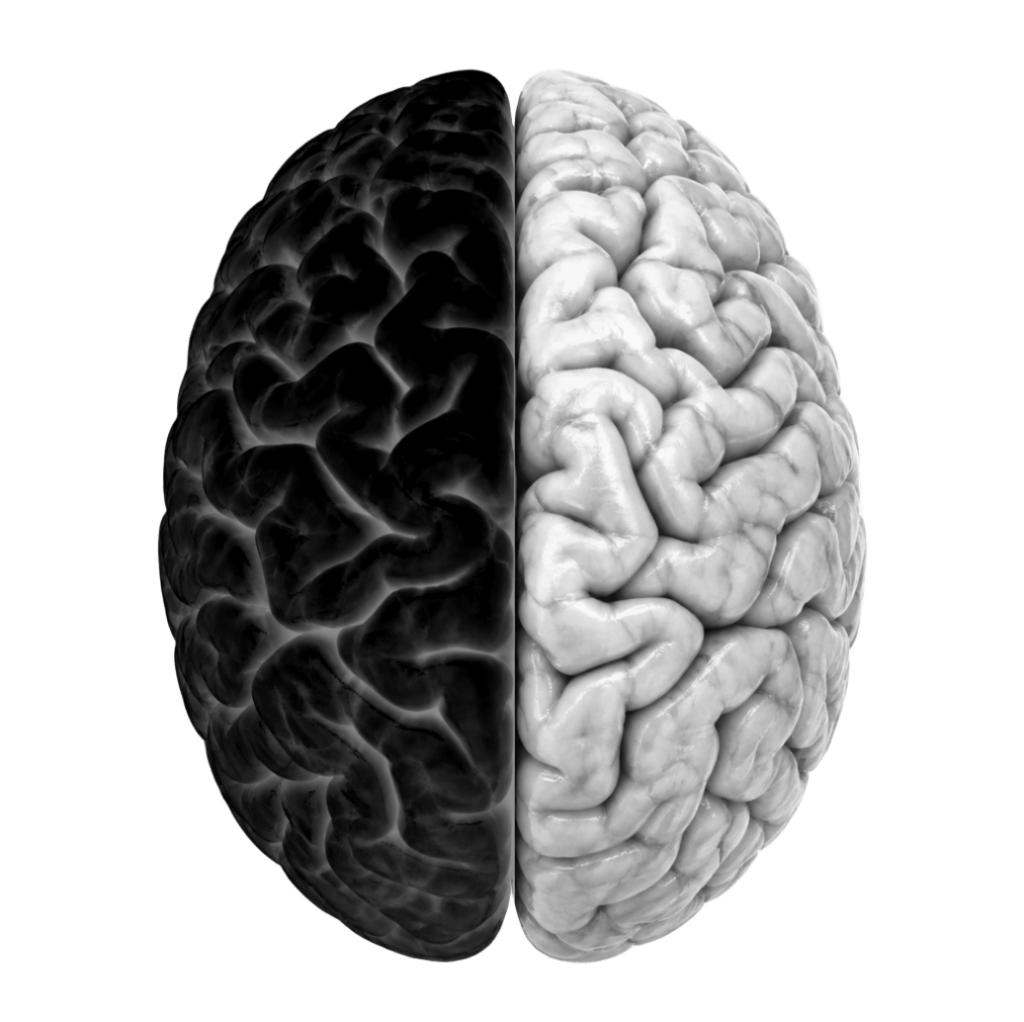 BrainSwitch icon